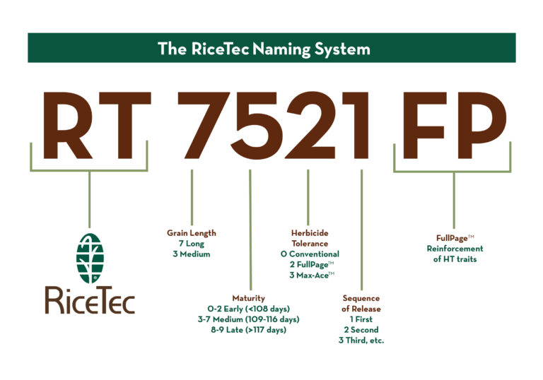 RiceTec-Naming-System-for-website-768x538